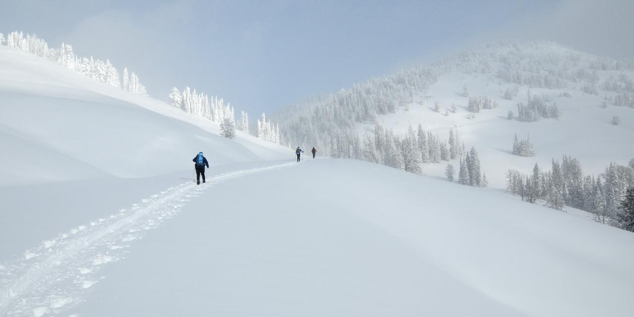 Snowshoeing to Dunraven Pass